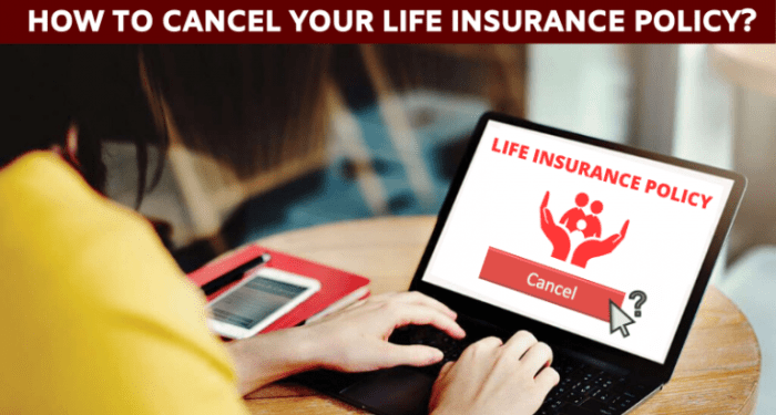 Free Printable Insurance Cancellation Letter Templates [PDF, Word]