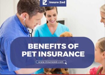 10 Benefits of Pet Insurance - InsureZed.com