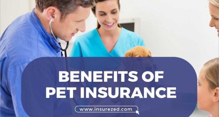 10 Benefits of Pet Insurance - InsureZed.com