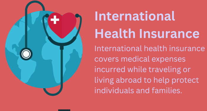 International Health Insurance For Relocating Abroad (2023)