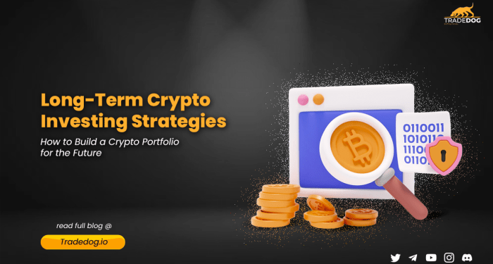 Long-Term Crypto Investing Strategies: How to Build a Crypto Portfolio ...